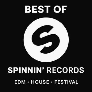 Best of Spinning Records🔥