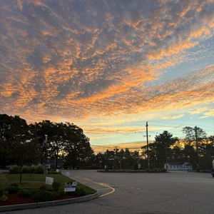 Liz’s playlist 🤯 — cover art