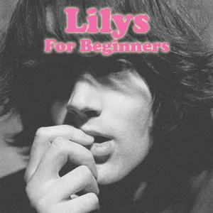 1992年アメリカ産シューゲイザー大名盤Lilys廃盤CD 1992年アメリカ産シューゲイザー大名盤Lilys廃盤CD Yahoo!オークション