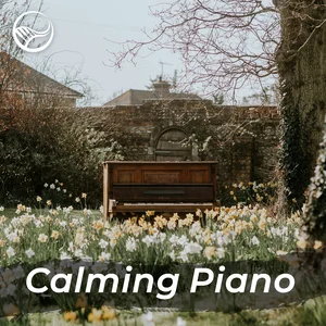 Calm Piano - Peaceful & Relaxing Music playlist cover