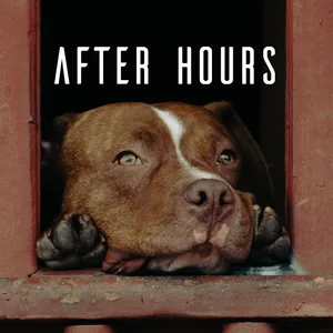 Portada de afrhrs
