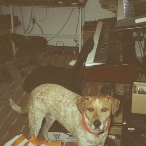 DOGWATER 1