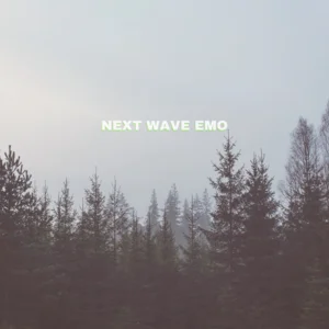 Next Wave Emo (Midwest / Emo Revival / Pop Punk)