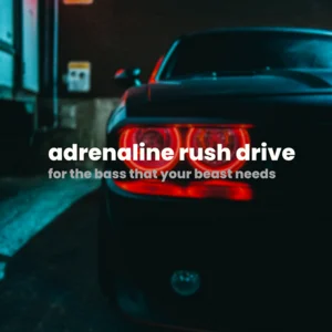 Songs for that Adrenaline Car Drive Spotify playlist cover art