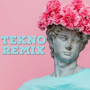 POPULAR TEKNO REMIXES 2026 (tiktok techno)  playlist cover
