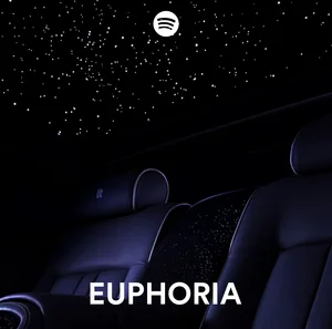 EUPHORIA — moments — playlist cover
