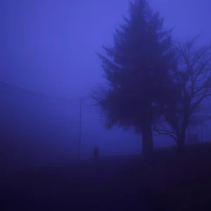 ambient music. playlist cover