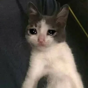 Rolitas para llorar a las 3 AM