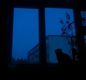 Dark ambient // Snowfall type songs Spotify playlist cover art