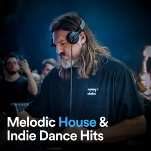 Melodic House & Indie Dance Hits playlist cover