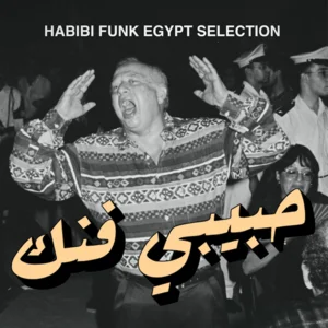 Egypt - Habibi Funk Selection  playlist cover