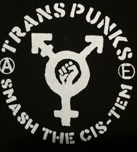Transgender Punk Playlist - playlist by Ozzy | Spotify