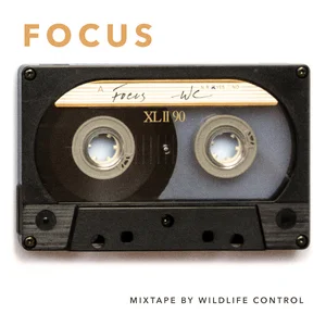 Instrumental Focus for Study and Work Spotify playlist cover art