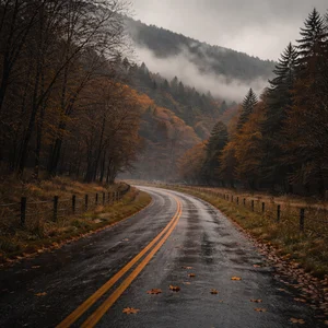 Quiet Country