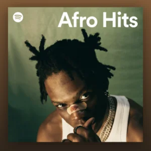 Afro Hits Spotify playlist cover art