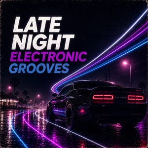 Late Night Electronic Grooves 