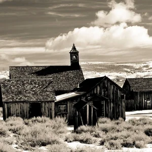 Southern Gothic, Western Gothic, Country Blues, Dark Country, Western Ambience , Y'allternative