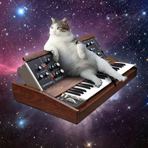 Synths & pops: new dance vibes cover