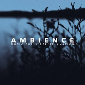 AMBIENCE