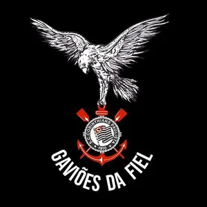Imagem de G.R.E.S. Gaviões Da Fiel (SP)
