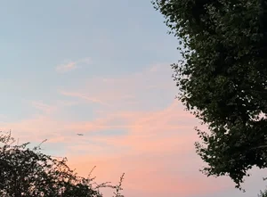 Mellow Indie Folk Spotify playlist cover art