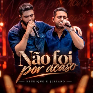 NÃO FOI POR ACASO HENRIQUE E JULIANO | EU NÃO TE PROCUREI VOCÊ ME ENCONTROU  playlist cover