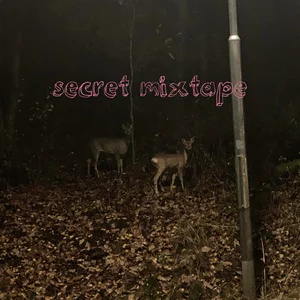 secret mixtape: dark indie