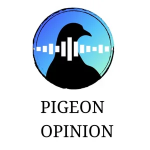Pigeon Opinion Spotify playlist cover art