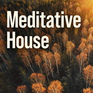 Meditative House cover