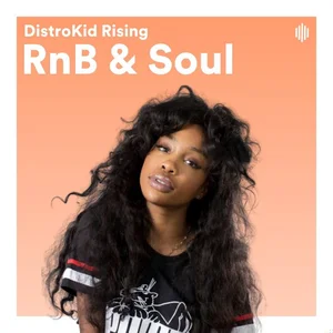 #4. DistroKid Rising - RnB & Soul R&B Playlist Spotify
