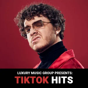 TikTok Hits cover