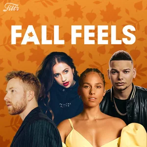 FALL FEELS