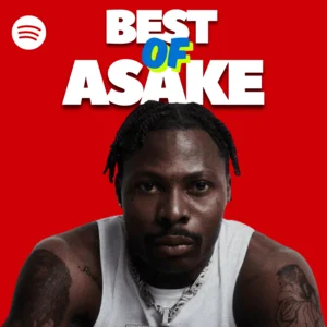 BEST OF ASAKE 2026 (Afrobeats x Amapiano)🏝🔥 - playlist by Playlist ...