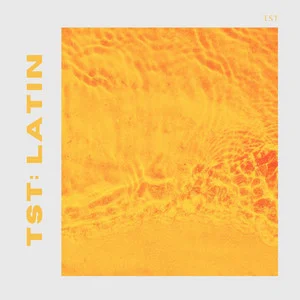 #5. TST: Latin Reggaeton Playlist Spotify