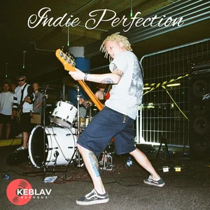Indie Perfection Spotify playlist cover art