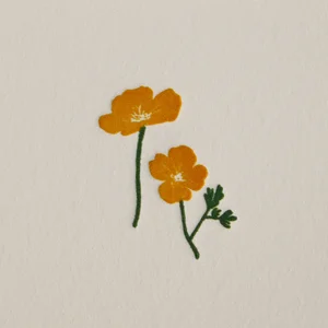 Adahm's Indie Catalogue Spotify playlist cover art