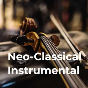 Neo-Classical Instrumental Spotify playlist cover art