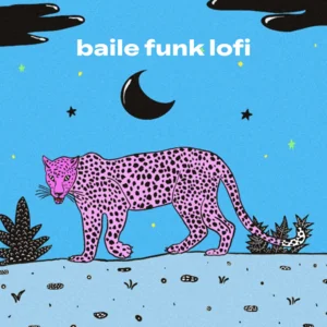 baile funk lofi 🌿🇧🇷 cover