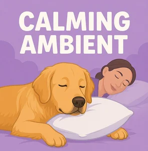 Calming Ambient for Dogs Spotify playlist cover art