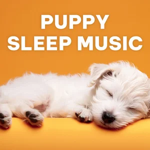Puppy Sleep Music 🐶 Comfort for Your Dog