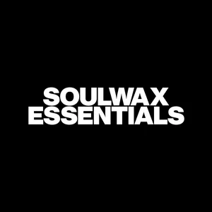 貴重 50部 Soulwax ソウルワックス 2manydjs シルクスクリーン 貴重 50部 Soulwax ソウルワックス 2manydjs シルクスクリーン 【公式