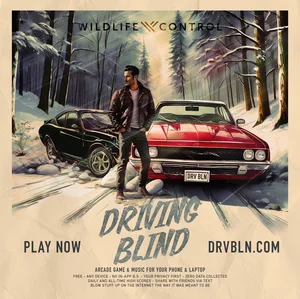 Driving Blind - Game Soundtrack Spotify playlist cover art