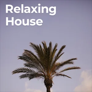 Relaxing House Music 2026 🌴 Spotify playlist cover art