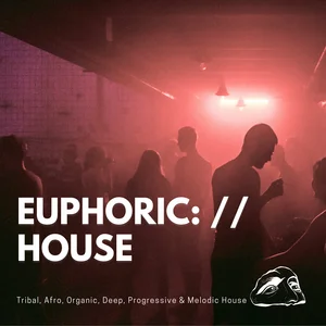 Deep Euphoria playlist cover