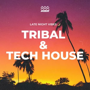 Groovy Tech House & Tribal Beats | Late Night Vibes 🌙 Spotify playlist cover art