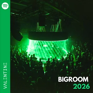 BigRoom 2026 🚀 | BigRoom Mainstage Spotify playlist cover art