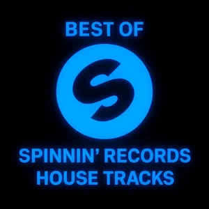 Spinning Records House Tracks 🔥 Spotify playlist cover art