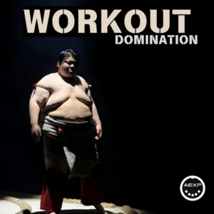 BIG ROOM  Workout Dominat Cardio Playlist Submission