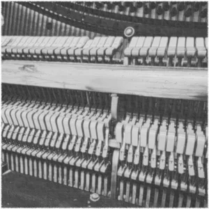 Library Piano Spotify playlist cover art