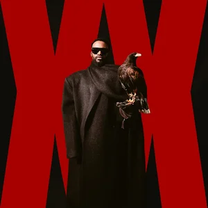 Fally Ipupa - JAM ft. Wizkid : XX  🦅 — cover art